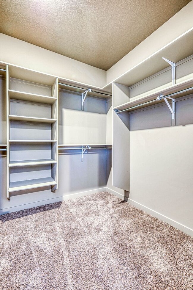 Building Photo - Beautiful East side House 4 bed-2.5 baths, part of The Overlook Casa Club that includes Swimming ...
