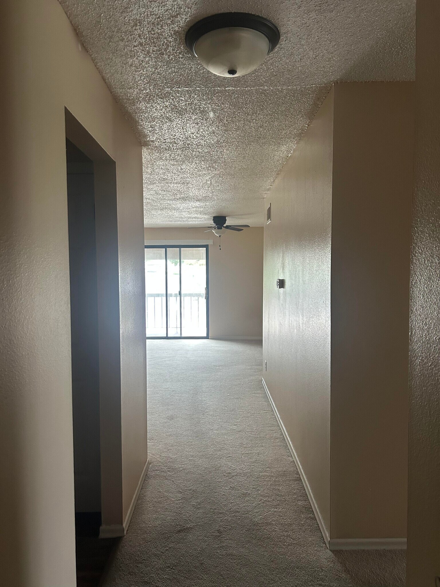 Entrance to Kitchen - 1233 Guelbreth Ln