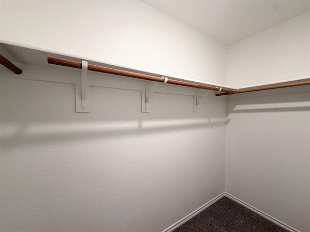 Building Photo - 264 Thoroughbred St