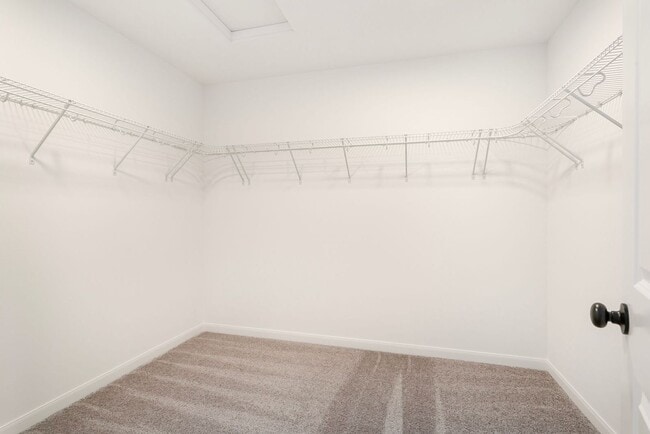 Building Photo - Newer Construction