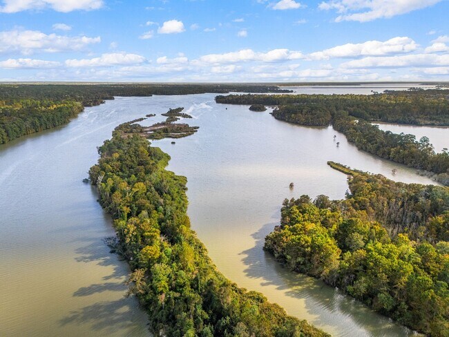 Building Photo - 340 Magnolia Dr