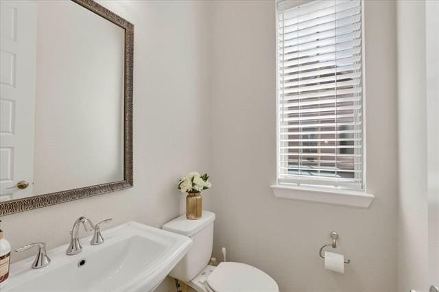 Building Photo - 1141 Tea Olive Ln