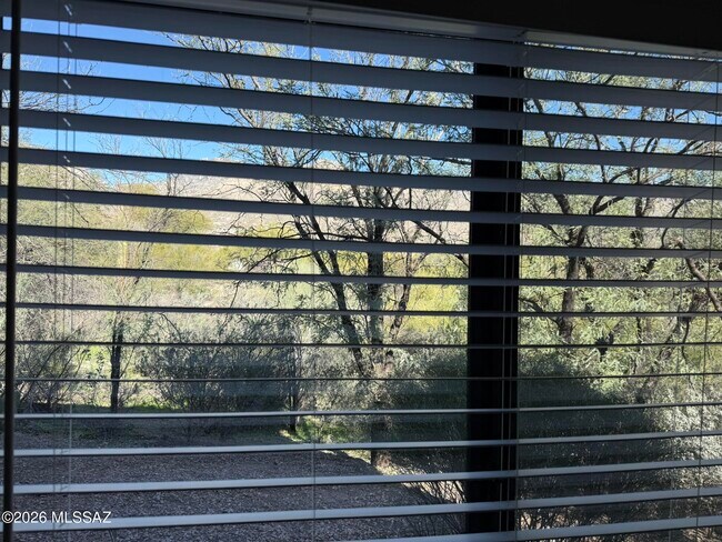 Building Photo - 5751 N Kolb Rd