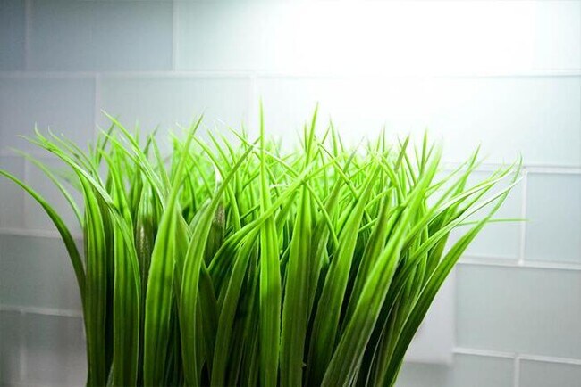 Building Photo - 4216 Sloane St