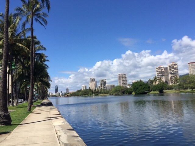 the other side of Ala Wai canel - 2415 Ala Wai Blvd