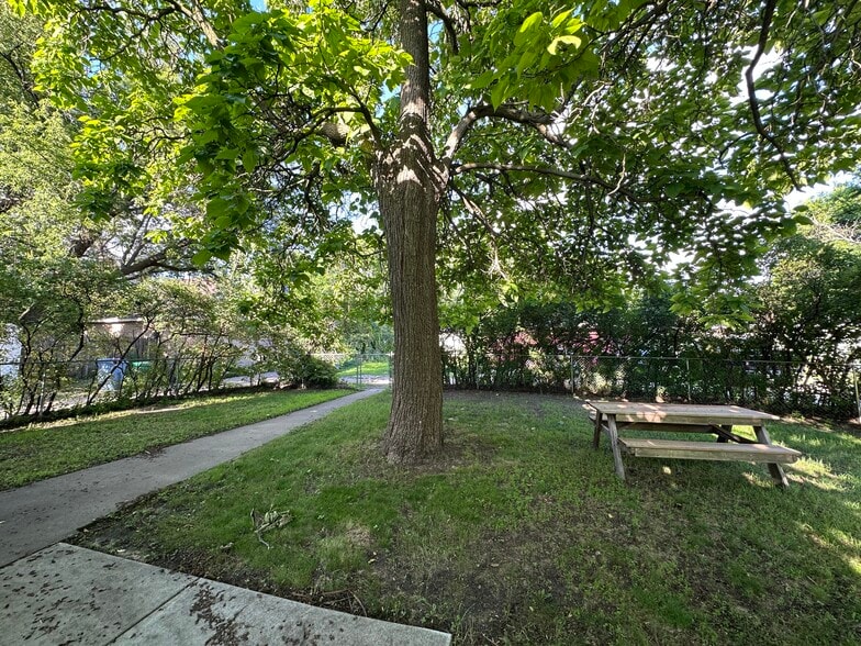 Yard - 1819 4th St NE