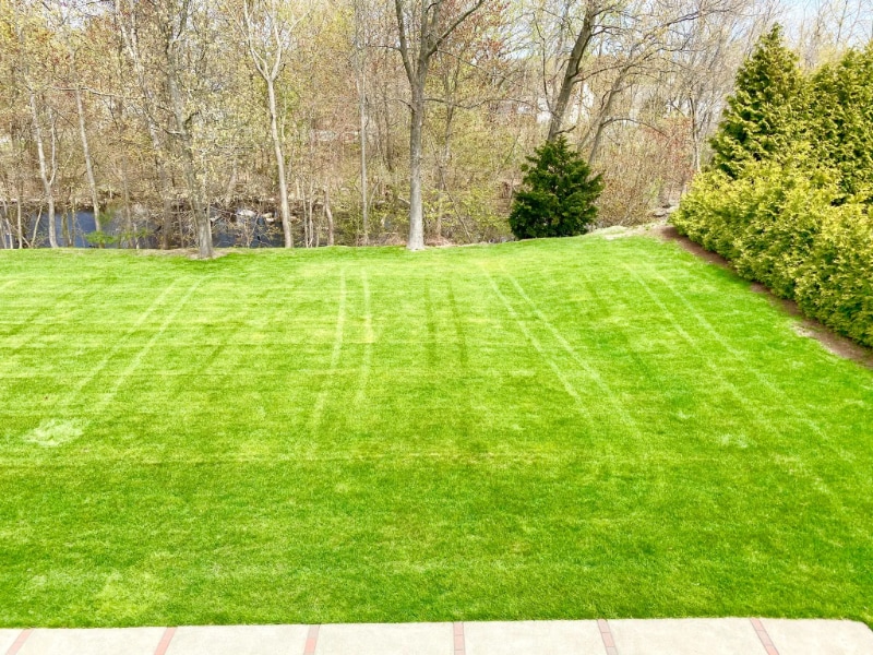 Building Photo - 1 Sorelle Pl