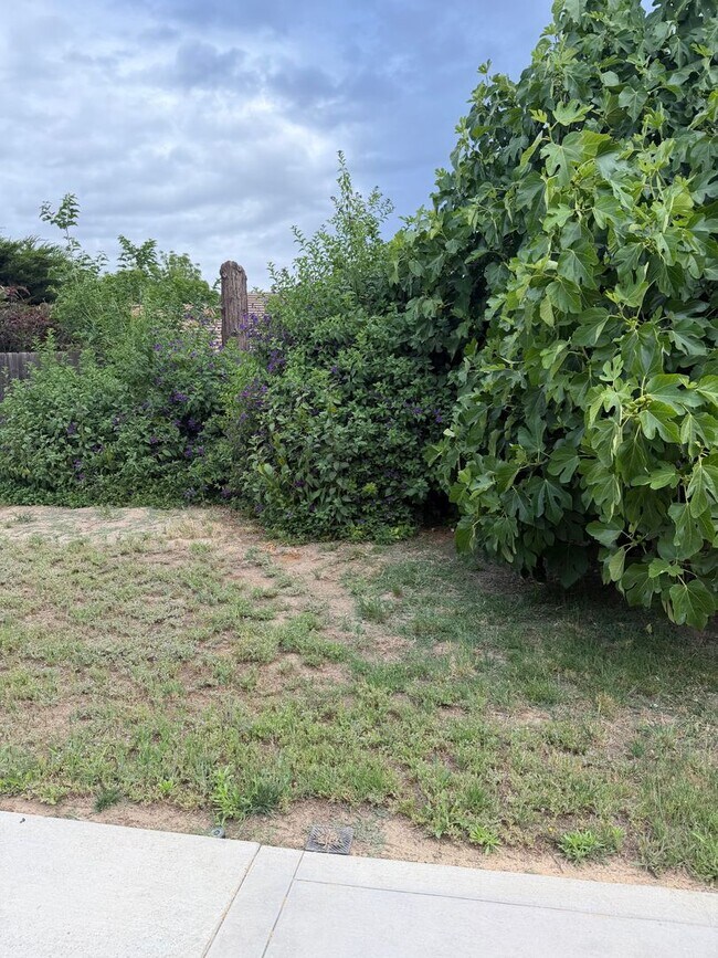 Building Photo - For Rent: 3 bedroom 2 bath
