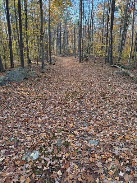 Building Photo - 14 Big Rock Ln