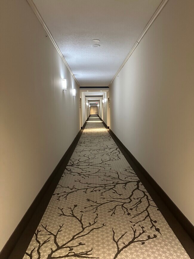 Hallway - 2230 George C Marshall Dr