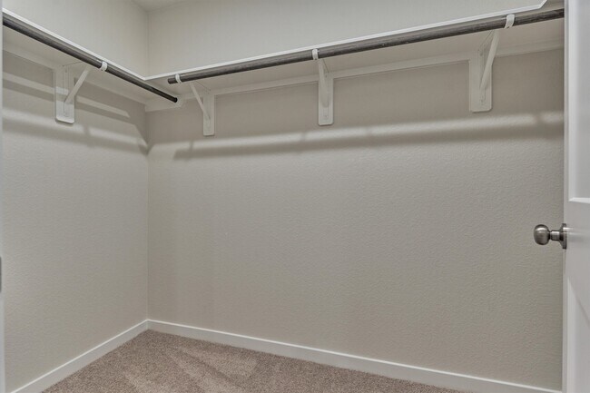 Building Photo - 282 Brazen Forest Trl