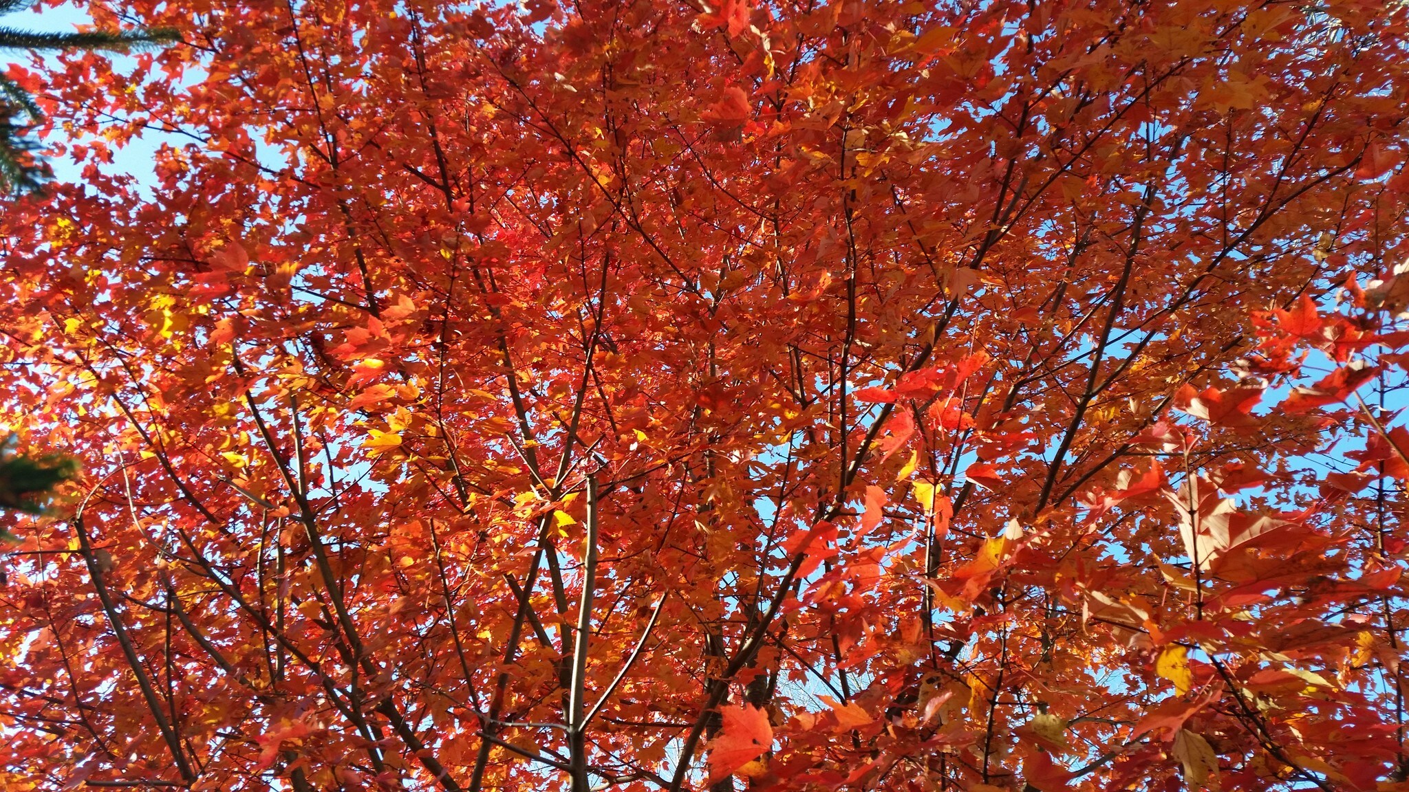 Building Photo - 43 Evergreen Ave