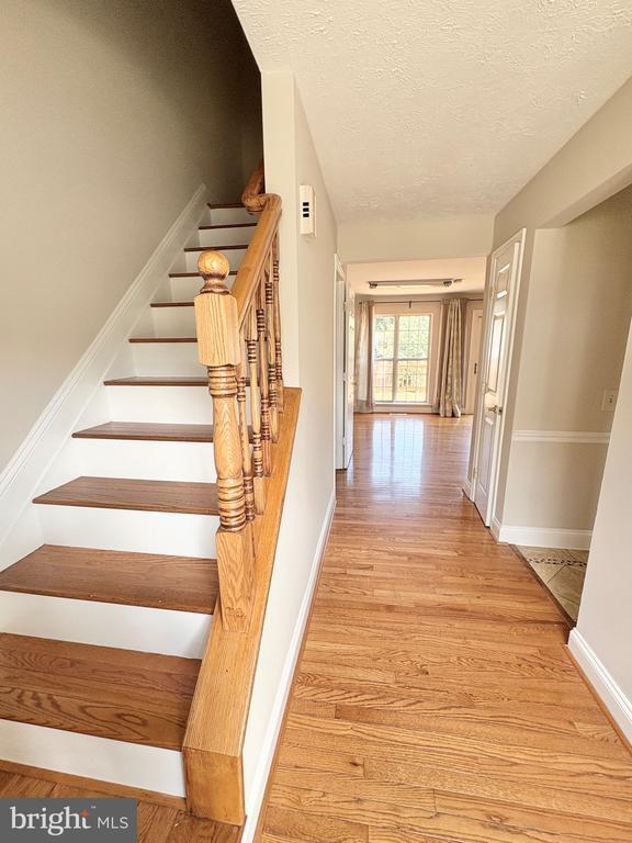 Building Photo - 7653 Stana Ct