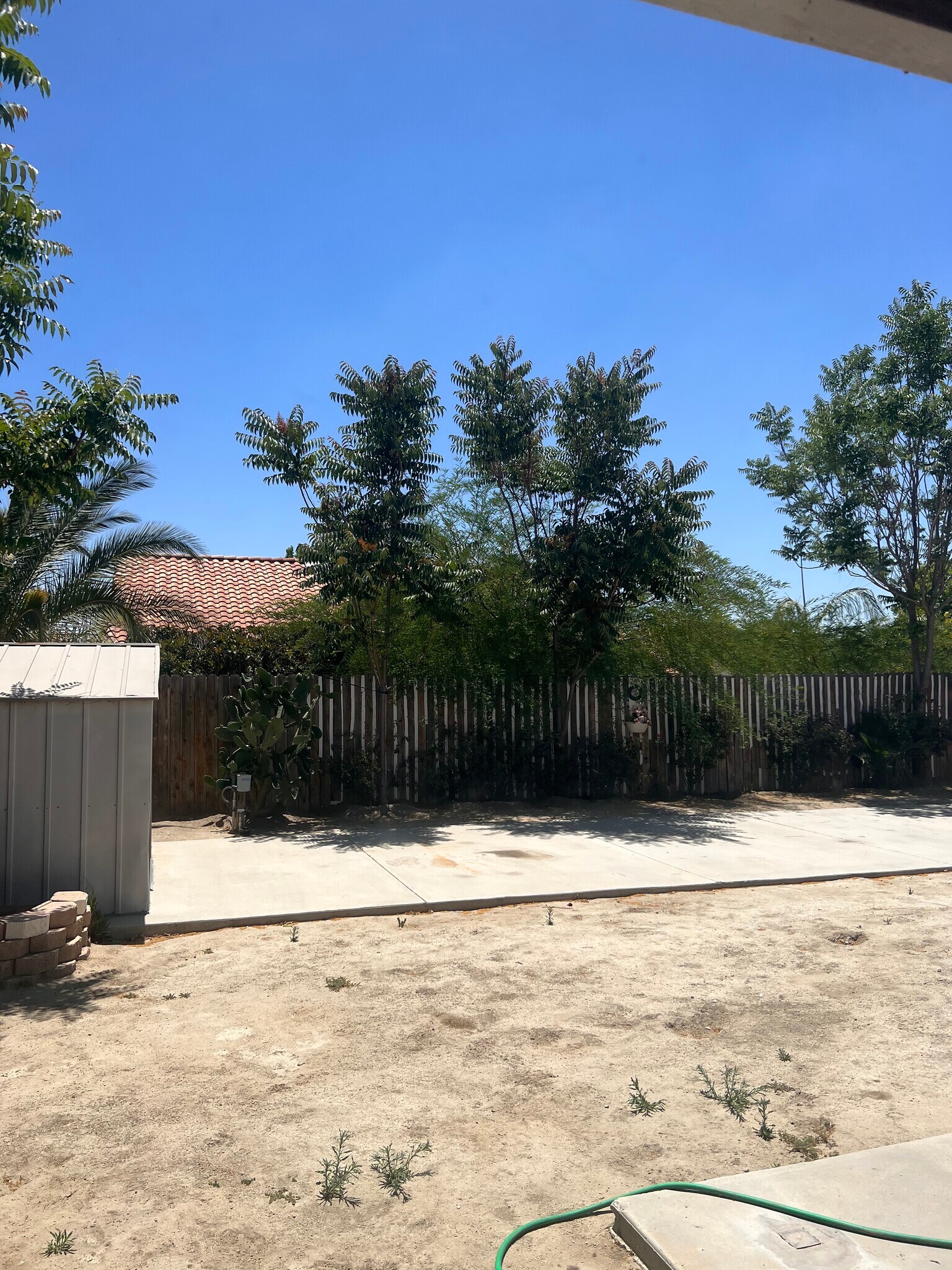 Building Photo - 1188 Don Carlos Ct