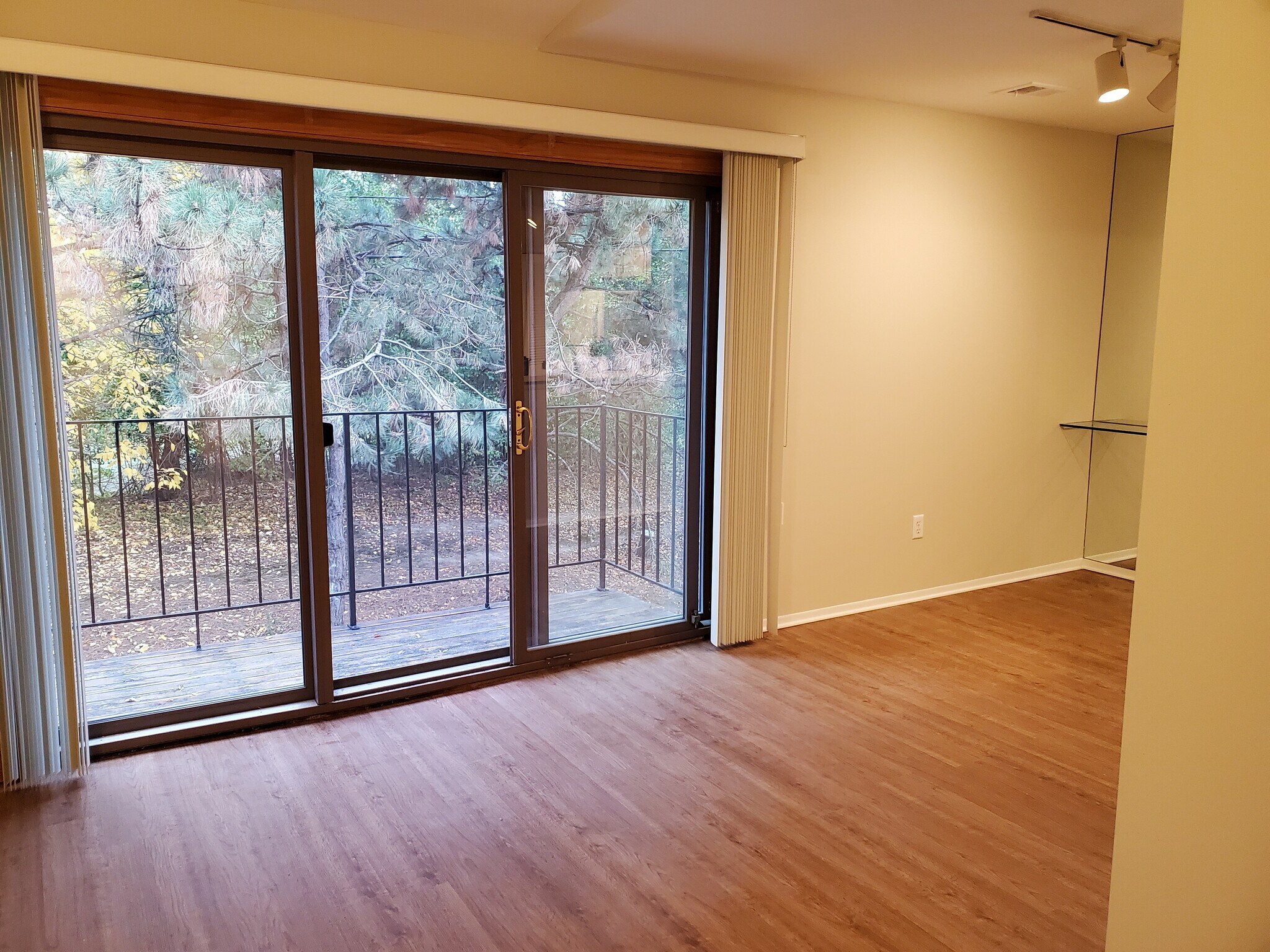 Patio overlooks wooded back - 27230 Evergreen Rd