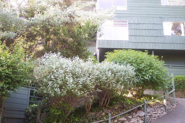 Building Photo - Contemporary North Berkeley 2 Bedroom Condominium