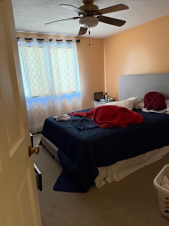 Building Photo - 11 Bluegrass Ln