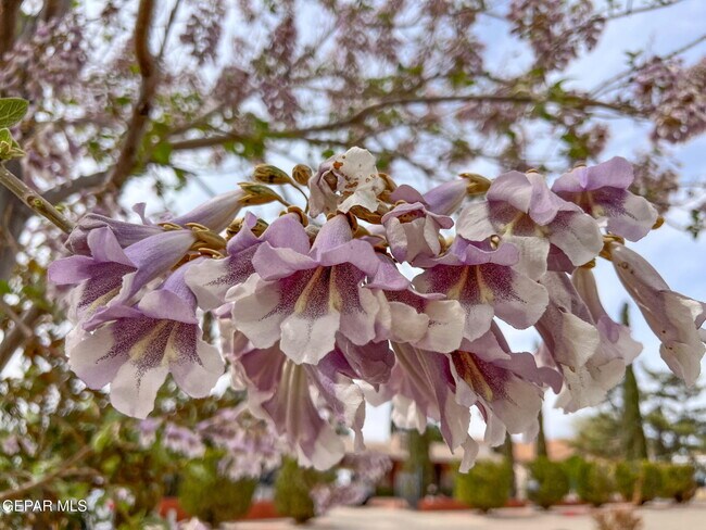 Building Photo - 1316 Hookridge Dr