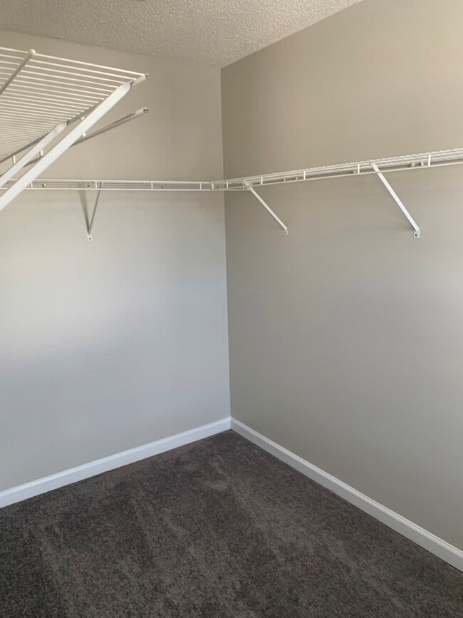 Building Photo - 205 Timber Wolf Trail