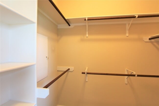 Building Photo - 603 Honeysuckle Vine Dr