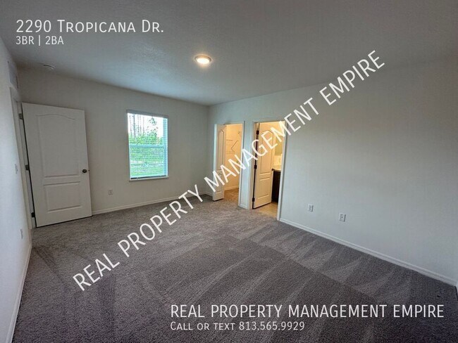 Building Photo - 2290 Tropicana Dr