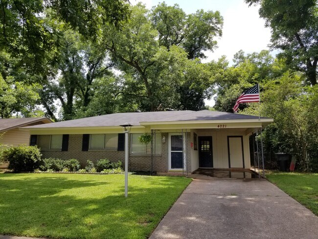 Primary Photo - Shady Grove