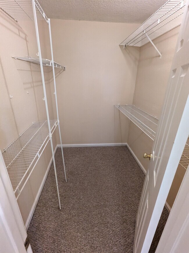 Building Photo - 3412 Daylily Ln