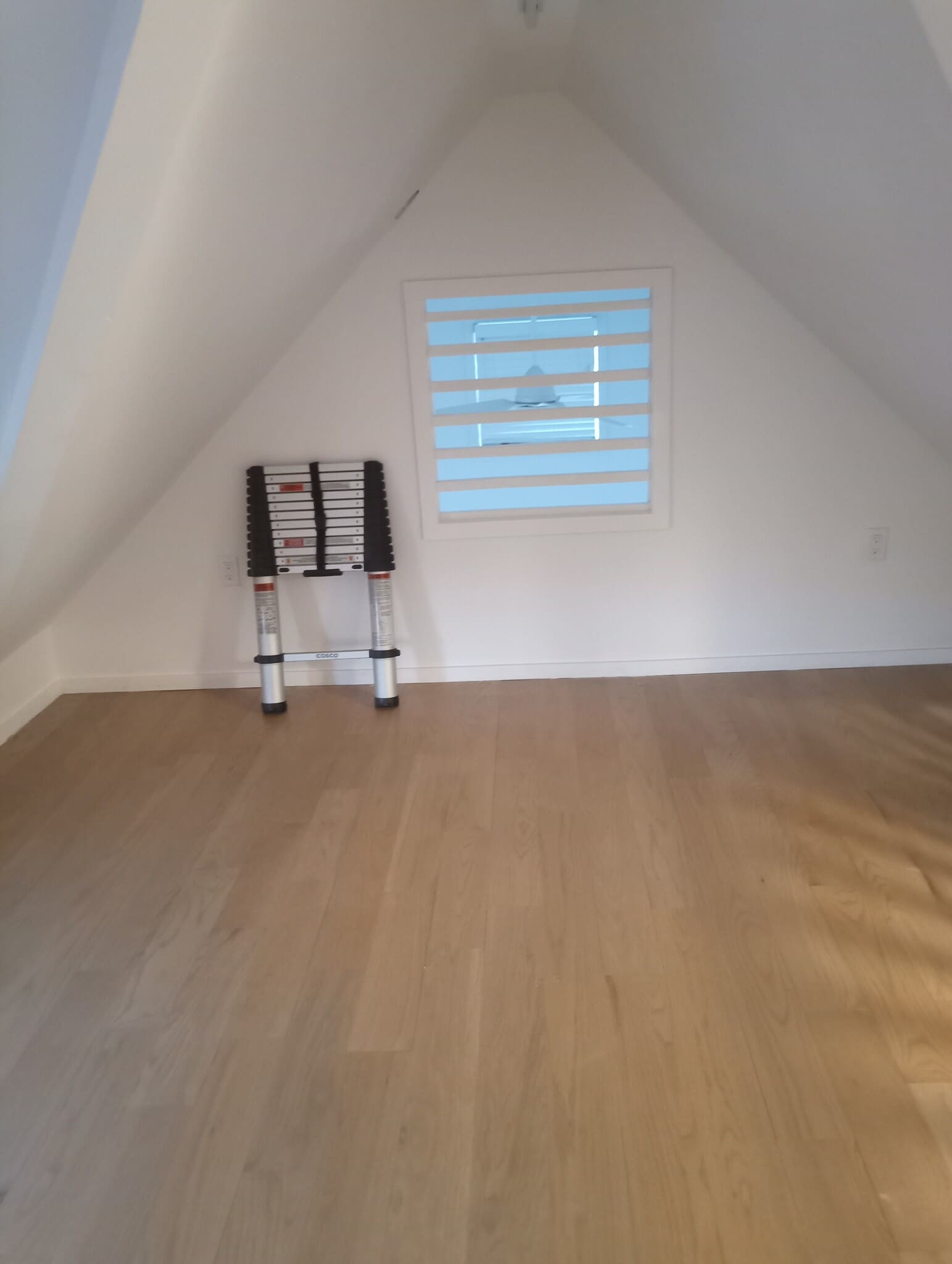 Building Photo - 88-07 62nd Ave