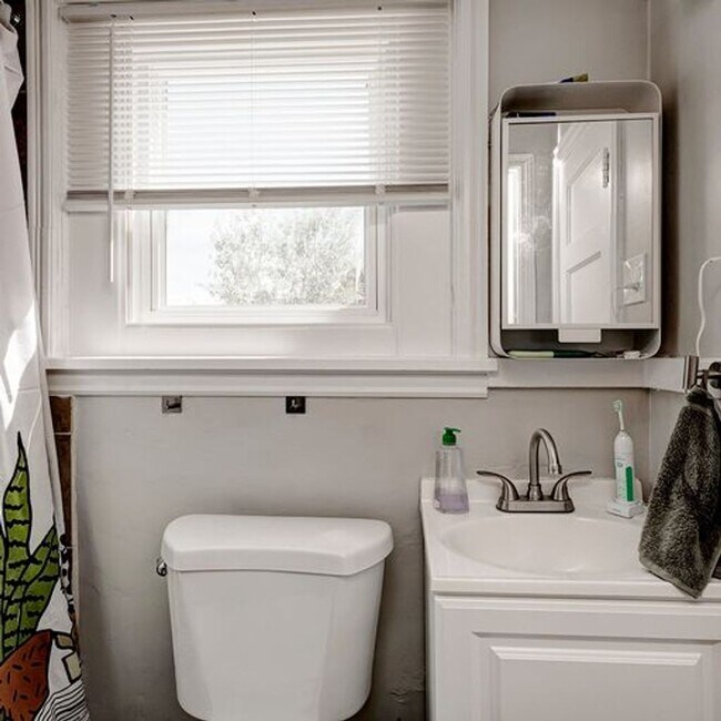 Building Photo - One Bed and One Bathroom Units Available