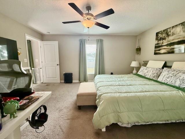 Building Photo - 1731 Yellow Trl