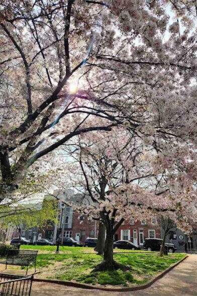 Building Photo - 416 Sepviva St