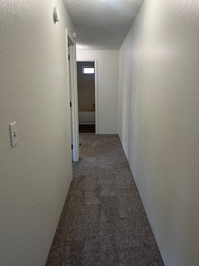 Building Photo - 511-513 Plum St