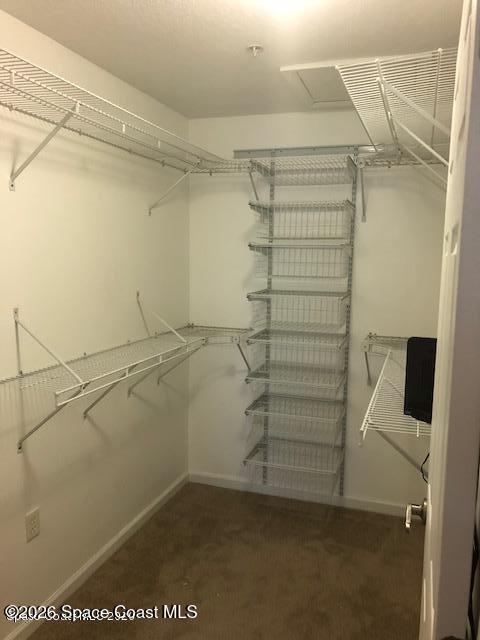 Building Photo - 4077 Meander Pl