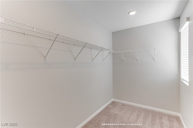 Building Photo - 3584 Credere Ln