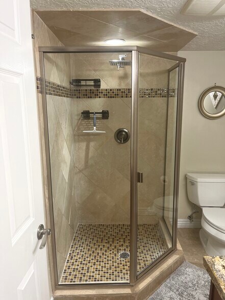 Walk-in Shower - 486 E Aspen Meadows Ct