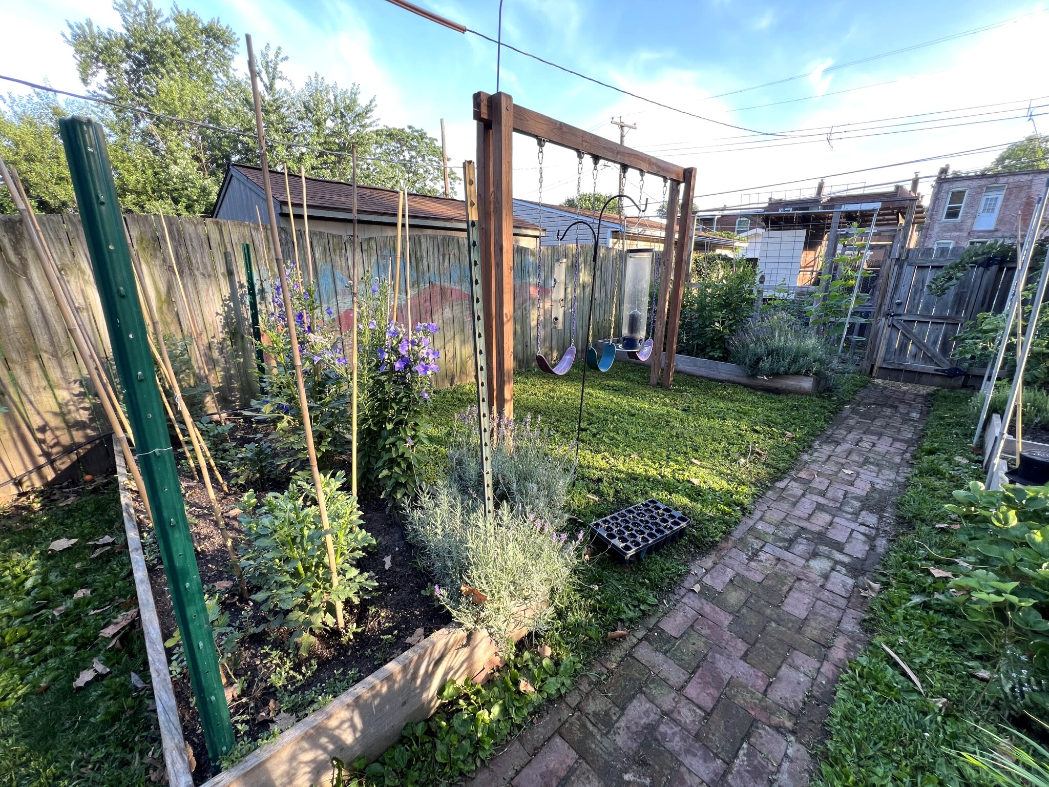 Backyard - 3817 Lafayette Ave