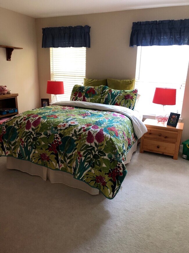 Building Photo - McKay's Mill McMansion