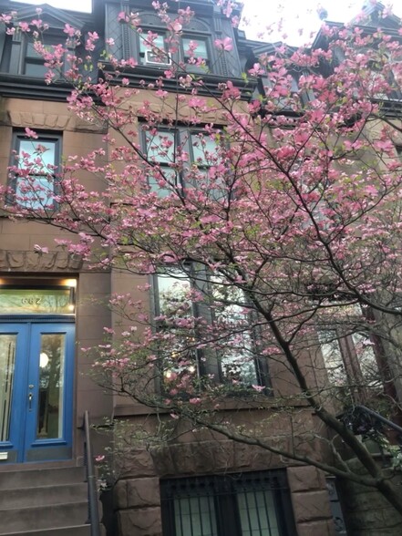 Furnished Summer Rental Prime Slope Brownstone - 682 President St