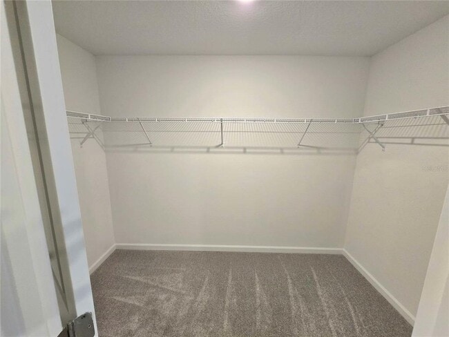 Building Photo - 3504 Chinotto Dr