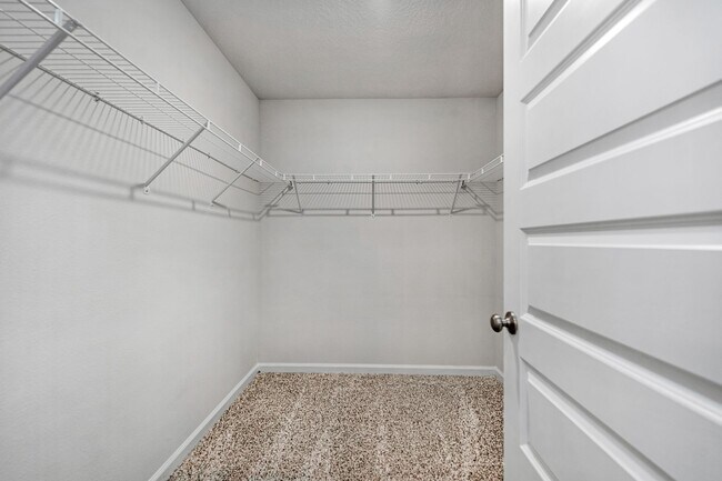 Building Photo - Beautiful 3BR Home with Privacy-Fenced Backyard in The Woodlands