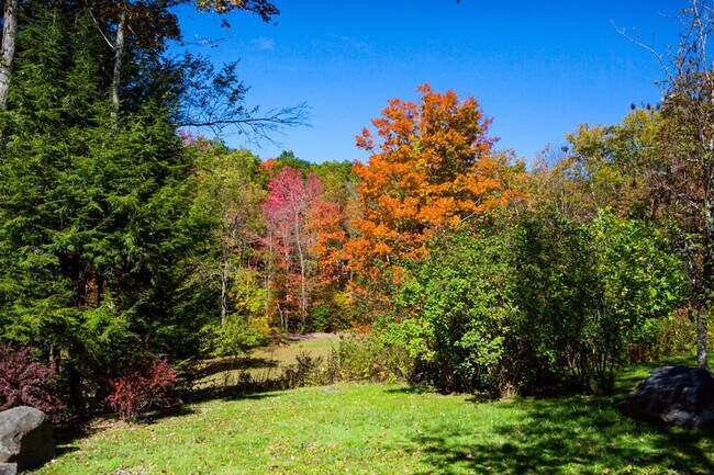 Building Photo - 525 Townsand Hollow Rd