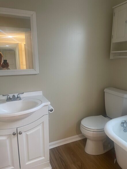 Building Photo - 42 Ann St