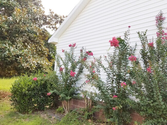 Building Photo - 1117 Cotten Farm Dr