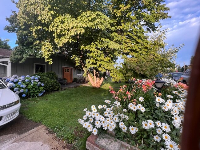 Building Photo - 1709 Avalon Pl