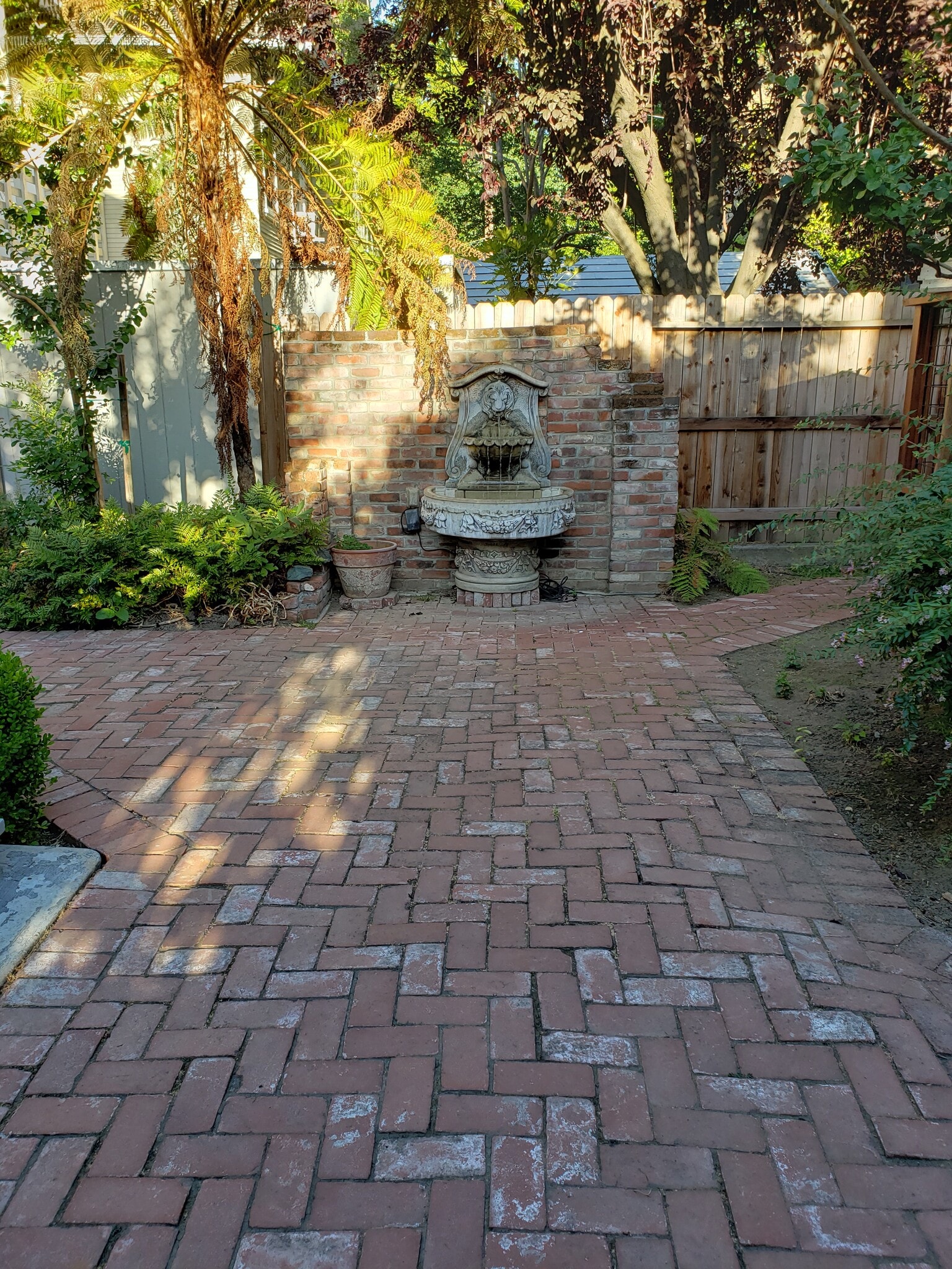 Shared Courtyard - 2623 H St