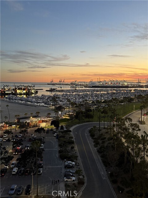 Building Photo - 800 E Ocean Blvd