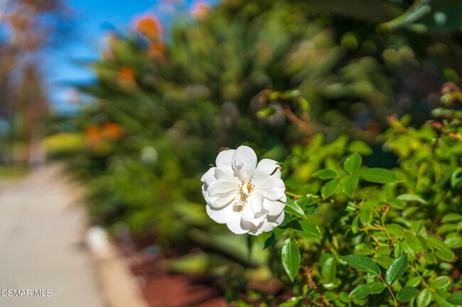 Building Photo - 4524 Greengate Ct