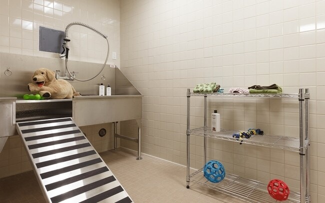 Interior Photo - 22 Caton Place