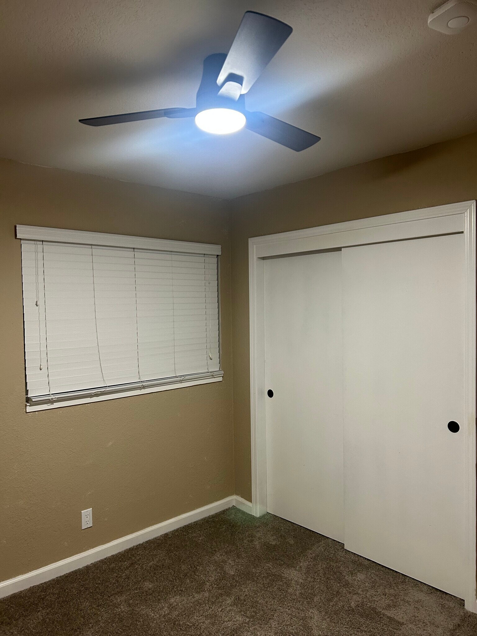 Building Photo - 5200 Roseana Ct