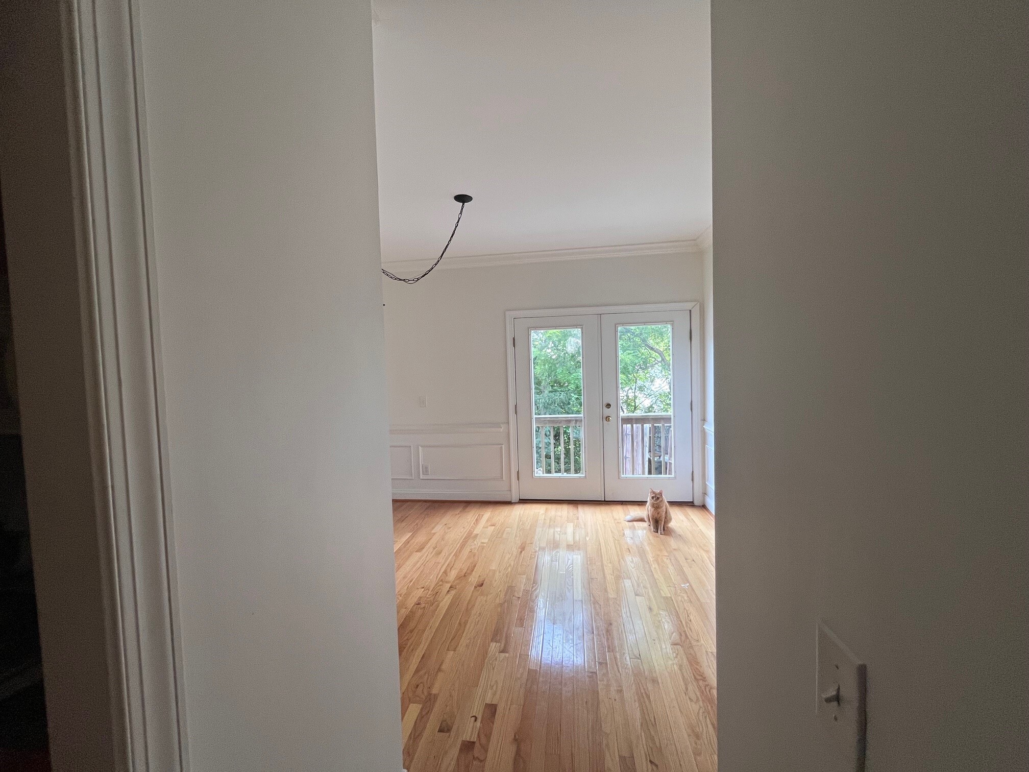 Kitchen space looking into dining - 1105 Druid Ave